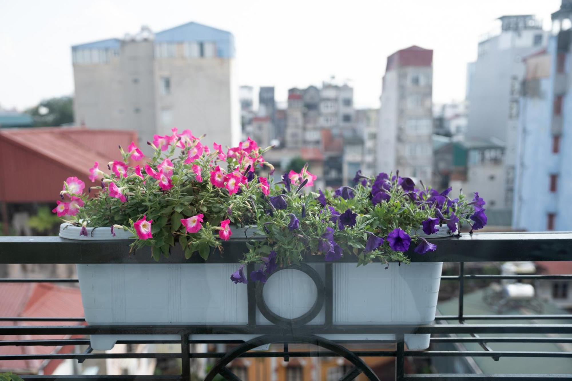 Golden Legend Boutique Hotel & Travel Hanoi Exterior foto